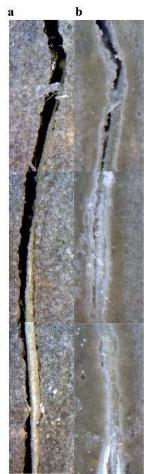 Crack before (left-a) and after 1 month in water and (left-b) Sisal + Steel specimen; Magnification on 200x (right-a,b)