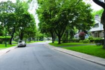 Une rue étroite et bordée d'arbres limite le champ visuel et incite à des vitesses modérées.