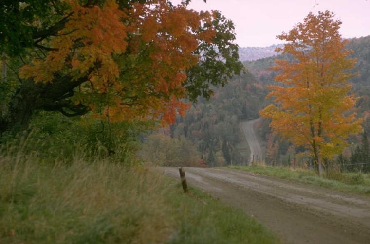 Route de gravelle en automne